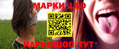 стаф Малгобек