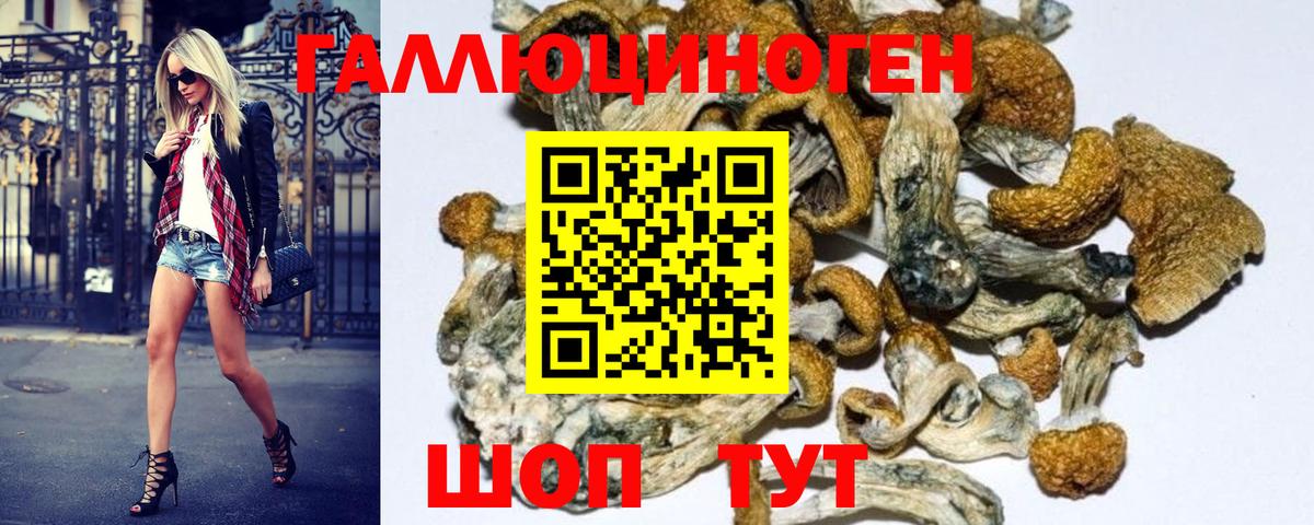 Галлюциногенные грибы мицелий  Вход с VPN  Казань  Псилоцибиновые грибы GOLDEN TEACHER 