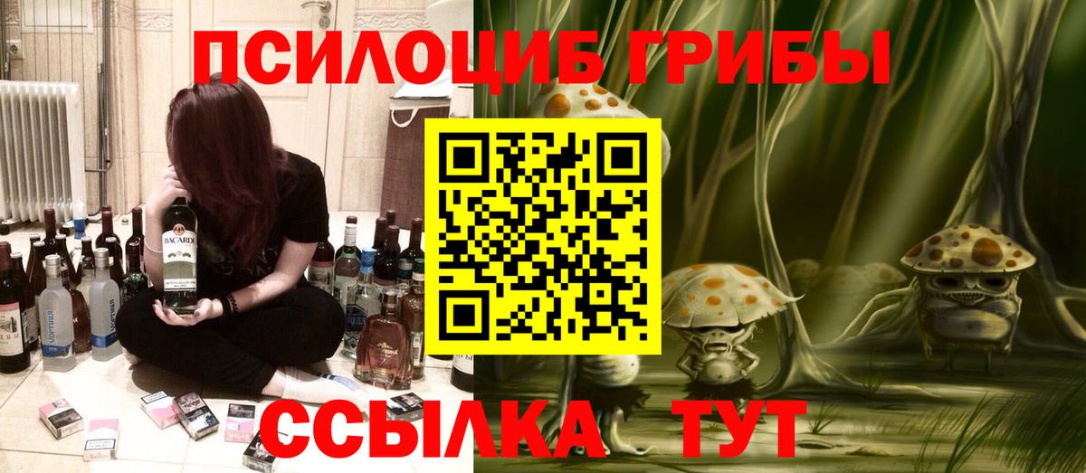 Галлюциногенные грибы прущие грибы Казань